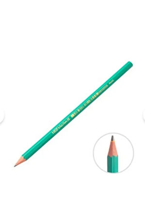 Bic Evolution HB Kurşun Kalem 12 Adet (1 Kutu)