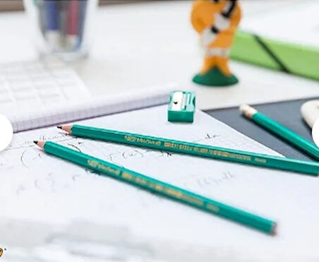 Bic Evolution HB Kurşun Kalem 12 Adet (1 Kutu)