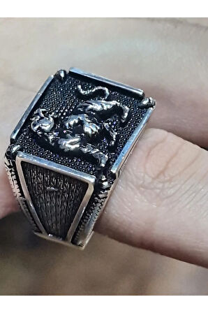 Erkek Gümüş Yüzük - Nokta İşlemeli Kaplan Kabartmalı Yanları Şerit Erkek Yüzük