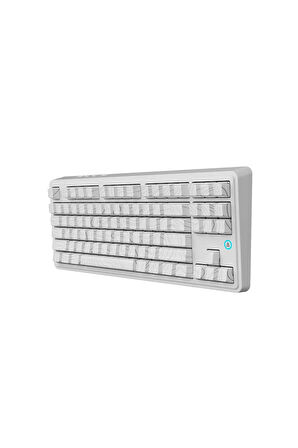 AK870 Plus 3 Bağlantı Modlu Mekanik Klavye RGB- Avocado Switch
