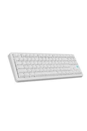 AK870 Plus 3 Bağlantı Modlu Mekanik Klavye RGB- Avocado Switch