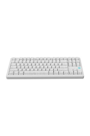 AK870 Plus 3 Bağlantı Modlu Mekanik Klavye RGB- Avocado Switch