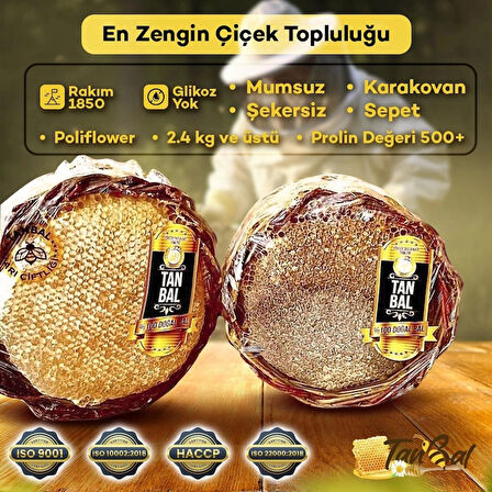 ORGANİK SEPET BAL 2.200gr 