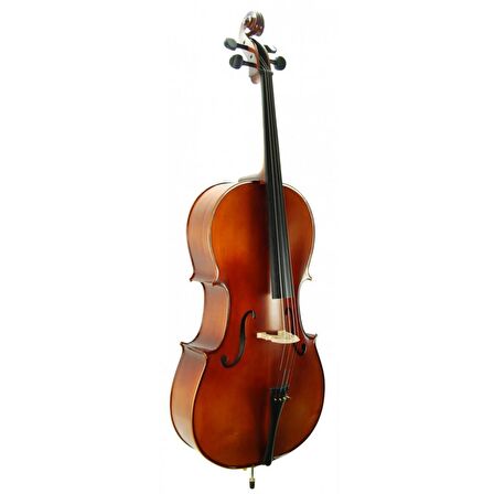 Cello ( Violonsel ) Stanislava STC44BR