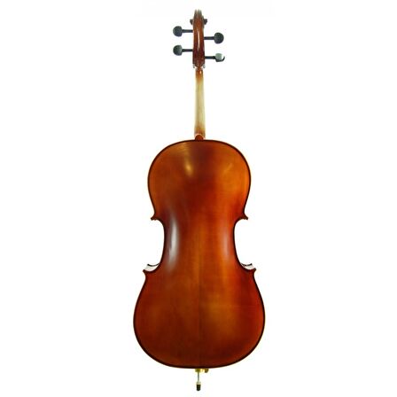 Cello ( Violonsel ) Stanislava STC44BR