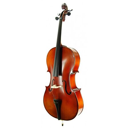 Cello ( Violonsel ) Stanislava STC44BR