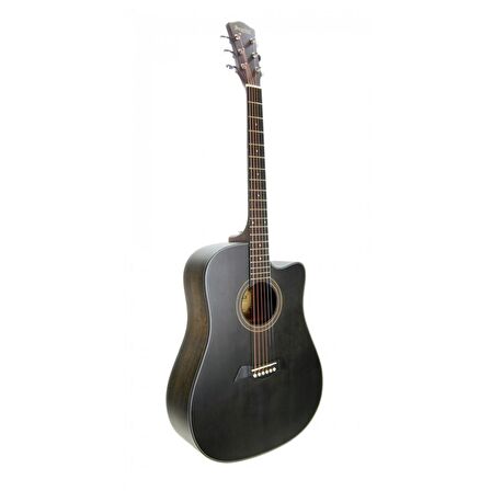 Akustik Gitar Segovıa Ladin SGA486C