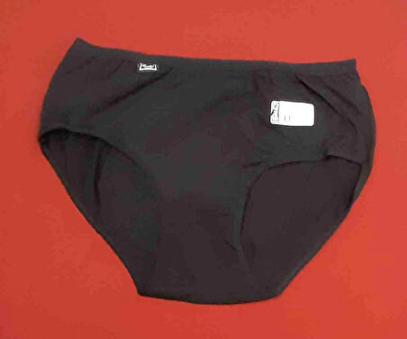 Tutku Kadın Elastan Bato Külot Paket Içeriği 3 Adet  Beden 6(3XL)