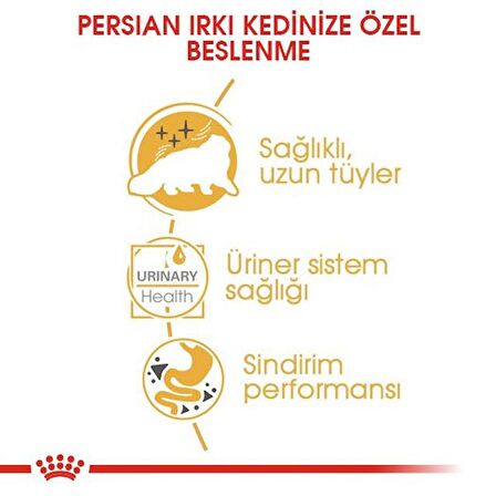 Royal Canin İran Kedisi için Yaş Kedi Maması 85g