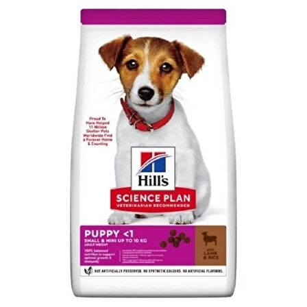 Hill's Adult Small Miniature Kuzulu Yavru Köpek Maması 6 Kg