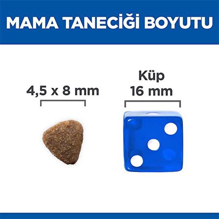 Hills Kitten Tavuklu Yavru Kedi Maması 1,5  Kg