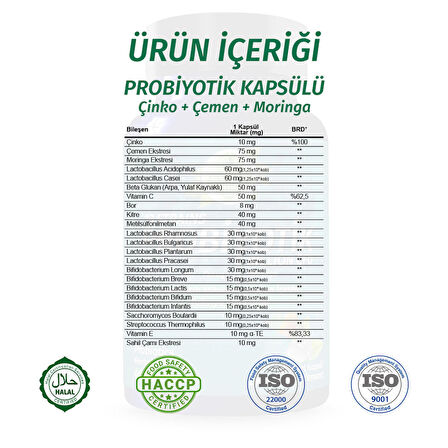 Probiyotik Kapsül (Probiotics Capsule)