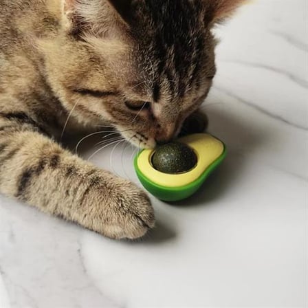 Avokado Model Yapışkanlı Kedi Oyuncağı Yenilebilir Kedi Nanesi Otu (5297)
