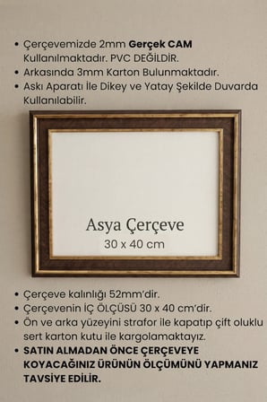 30 x 40 cm Selçuklu Saray Serisi Camlı Oda Mutfak Salon Koridor Poster ve Resim Çerçevesi