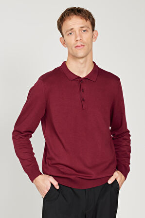 Standart Fit Normal Kesim Polo Yaka Triko Kazak