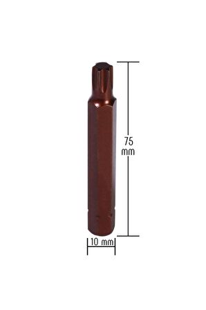 Kaplamalı Mıknatıslı Torx Bits Uç Matkap Ucu T20 75 mm KK1157