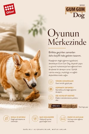 Eco Gum Gum Dog Serisi Doğal Kauçuk Kurabiye Adam Köpek Oyuncağı - Küçük Irk & Yavru - Çiğneme & At / Getir Oyuncağı