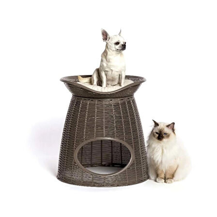 BAMA KEDİ EVİ