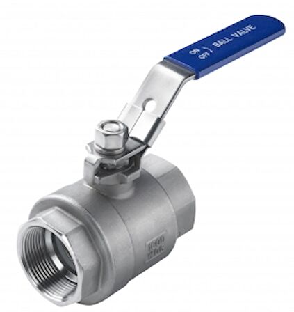 Küresel vana AISI 316 paslanmaz çelik. 1000 psi 1¨¼