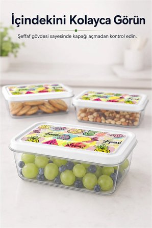 3’lü 850 ml Dikdörtgen Saklama Kabı Seti Meyve Desenli Şeffaf İstiflenebilir Erzak Kabı