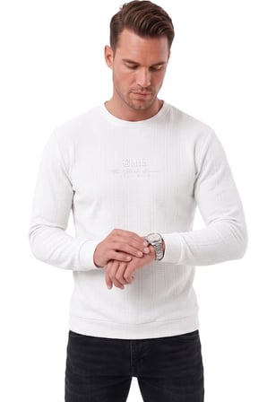 DeepSEA Erkek Slim Fit Jakar Dokulu Beyaz Sweatshirt – Likralı Yumuşak Dokulu Bisiklet Yaka Nakışlı 2708516