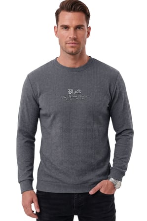 DeepSEA Erkek Slim Fit Jakar Dokulu Füme Sweatshirt – Likralı Yumuşak Dokulu Bisiklet Yaka Nakışlı 2708516