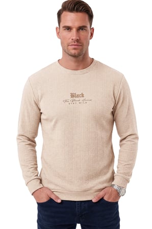 DeepSEA Erkek Slim Fit Jakar Dokulu Bej Sweatshirt – Likralı Yumuşak Dokulu Bisiklet Yaka Nakışlı 2708516