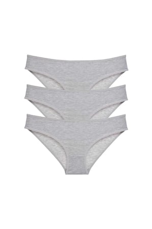 3 adet Süper Eko Set Likralı Kadın Slip Külot Gri mudanis