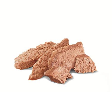 Royal Canin İran Kedisi için Yaş Kedi Maması 85g