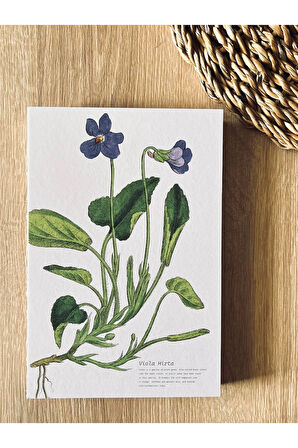 Özel Tasarım Kapaklı A5 Enzo Çizgili Defter - 180 Derece Açılabilir, %100 El Işçiliği