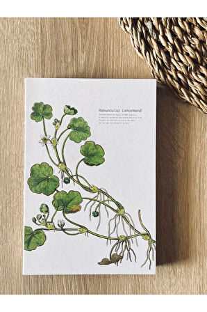 Özel Tasarım Kapaklı A5 Enzo Çizgili Defter - 180 Derece Açılabilir, %100 El Işçiliği