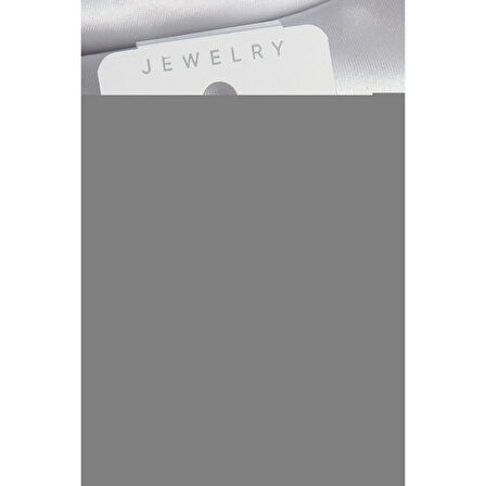 Pirinç Gümüş Renk Zirkon Taşlı Kadın Kıkırdak Küpe