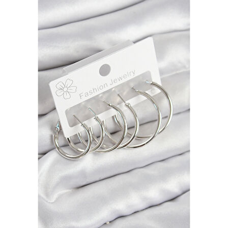 Pirinç Halka Model Gümüş Renk Kadın Set Küpe