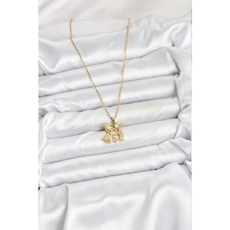 316L Çelik Zincir Gold Renk Erkek Kız Model Kadın Kolye