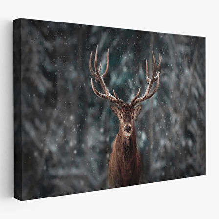 Ren Geyiği ve Kar Kanvas Tablo, Ren Geyiği Kış Ormanı Tablo-5370