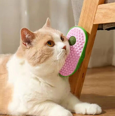CATNİP TOPLU KEDİ KAŞINMA APARATI