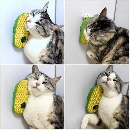 CATNİP TOPLU KEDİ KAŞINMA APARATI