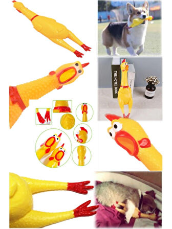 SESLİ HOROZ KÖPEK OYUNCAĞI