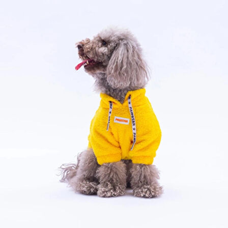 Sarı Porto Cozy Kedi Köpek Sweat