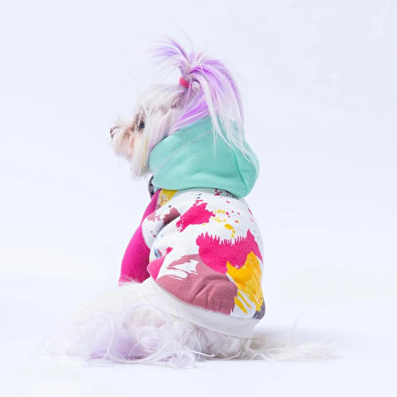 Mınt Rio Kedi Köpek Hoodie