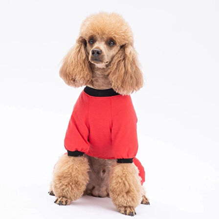 Depresso Kedi Köpek Pijama Tulum