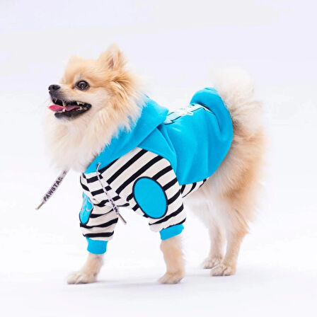 Turkuaz Lucky Club Kedi Köpek Hoodie