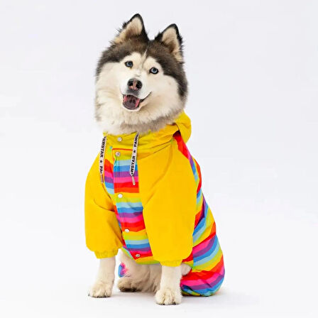 Peru Büyük Irk Köpek Tulum Yağmurluk