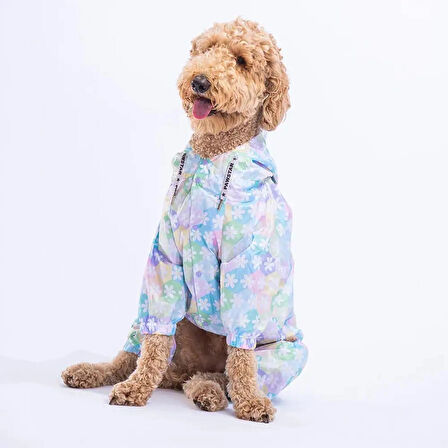 Flores Fileli Büyük Irk Köpek Tulum Yağmurluk