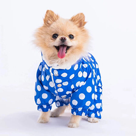 Mavi Dots Polarlı Kedi Köpek Tulum Yağmurluk