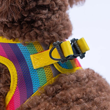 DESENLİ AIRMESH KEDİ KÖPEK GÖĞÜS TASMASI