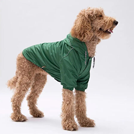  Pluvia Büyük Irk Köpek Yağmurluk