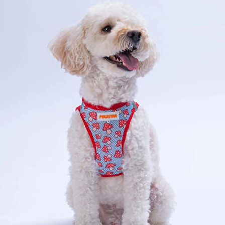 DESENLİ AIRMESH KEDİ KÖPEK GÖĞÜS TASMASI