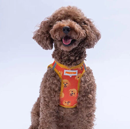 DESENLİ AIRMESH KEDİ KÖPEK GÖĞÜS TASMASI