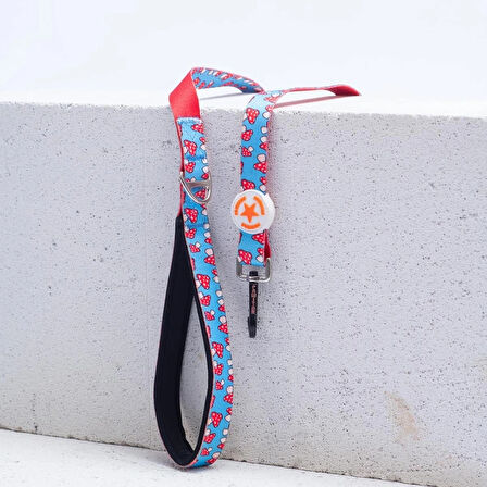 Kedi Köpek Sevk Kayışı / Gezdirme 120 Cm